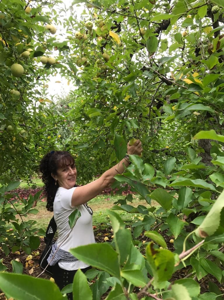 Obituario de Silvana Mastantuono-Gomez