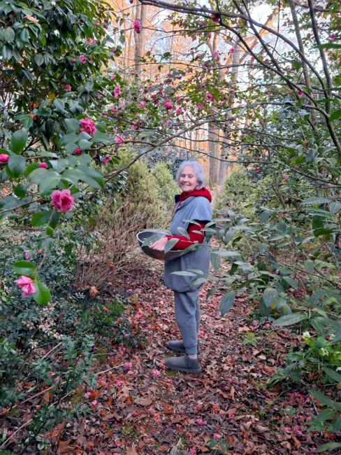 Obituary of Sandra Jonas
