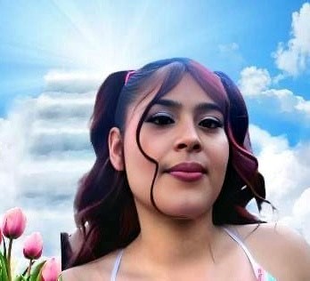 Obituary of Briana Michelle Rojas