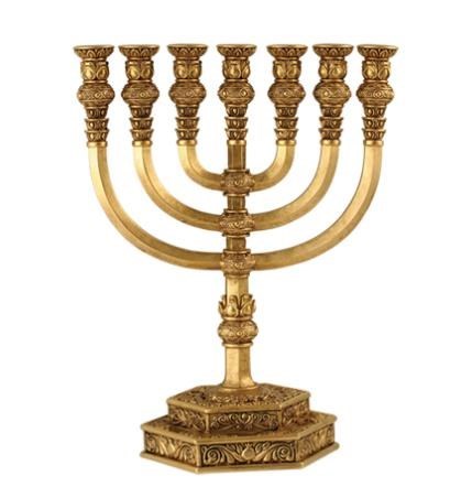 Obituary of Diana Laub