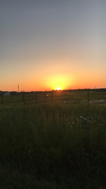 Obituary of Adele Marie Horton