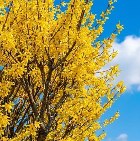 Obituary of Linda Helen Doyon