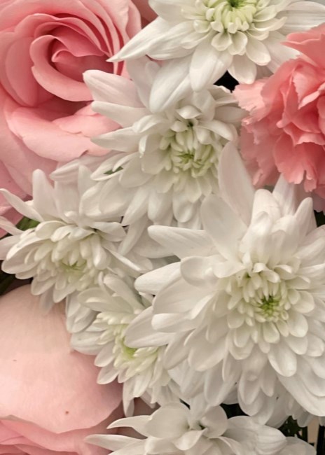 Obituary of Kristina Hudovernik