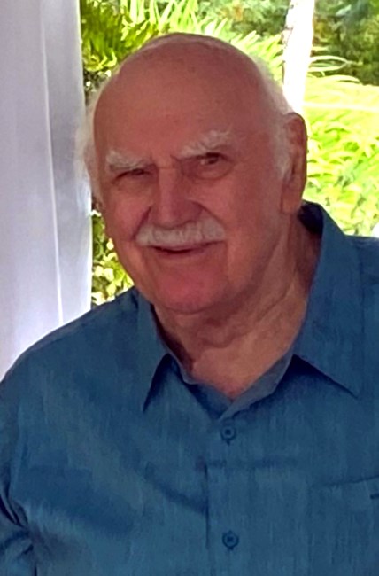 Obituary of Henry "Hank" L. Franz Jr.