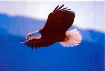 Obituary of Robert E. Lucas