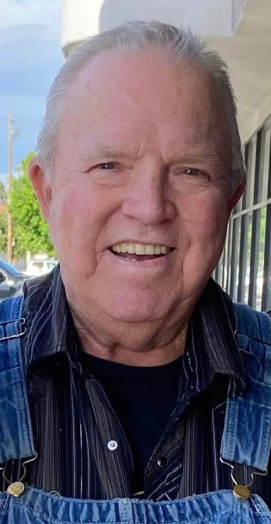 Obituary of David Albert Harmon