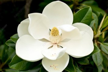 Obituary of Wanda Kay Irby