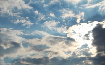 Obituary of Jose Q Salazar