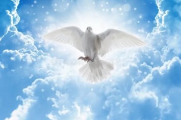 Obituary of Rosa Almazan Jimenez