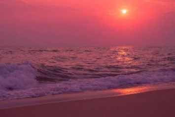 Obituary of Patricia Lee Gass