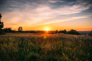 Obituary of Evelyn Felice