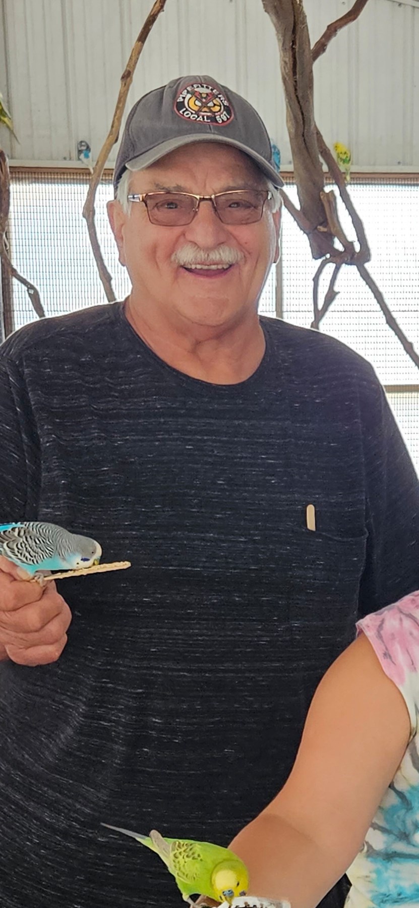 Norman Elftmann Obituary Orland Park, IL