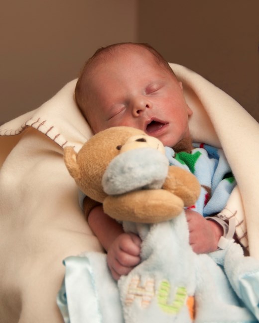 Obituary of Levi Robert Daufeldt