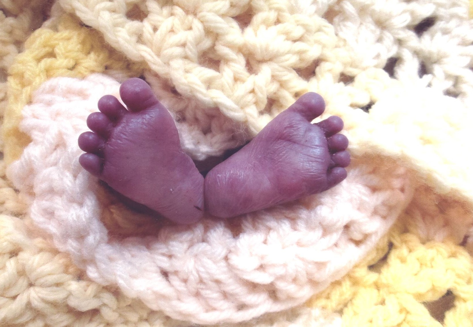 Obituary of Elijah Don Maddux