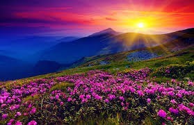 Obituary of Betty Hammitt Johnson