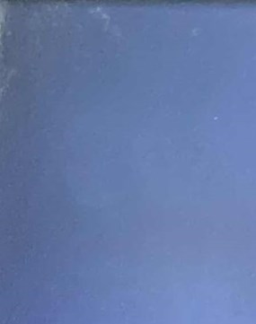 William Reed Obituary - Tallahassee, FL