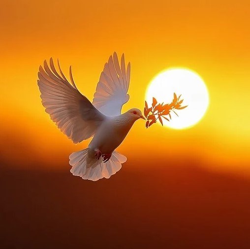 Obituary of Carol Judith