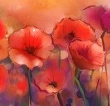 Obituary of JoAnn Meers