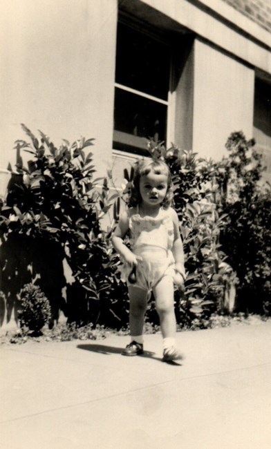 Obituary of Robin Lee Rowland