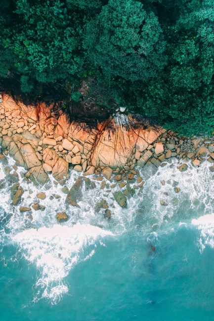 Avis de décès de Carl Eugene Everson