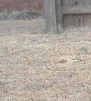 Ed Redmond Edward Redmond Obituary - Columbus, GA