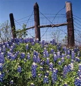 Obituario de Howard Brinkley "Bill" King