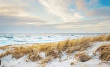 Obituary of Corina Louise Kaufman