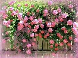 Obituary of Betty Ann White