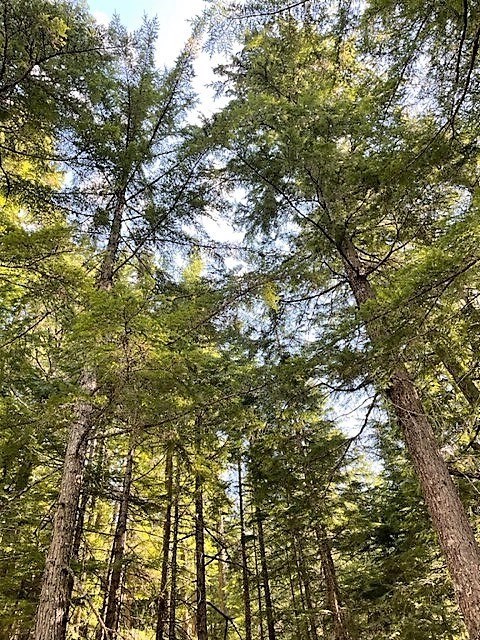 Obituary of Michael Joseph Popowski