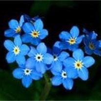 Obituary of Betty Frances Klein