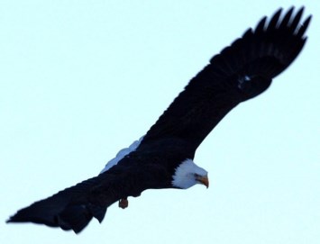 Obituary of Keith Charles Wilson