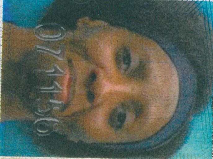 Obituary of Jennifer Elaine Spence