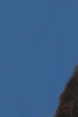 Billie Dahl Obituary Portland, OR