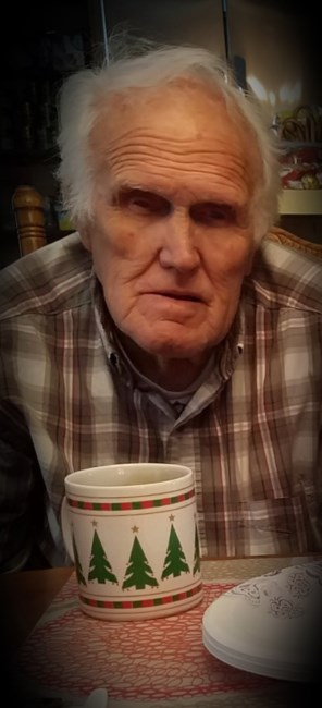 Obituary of William M. Feagins