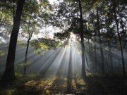 Obituary of Joseph R. Lutes