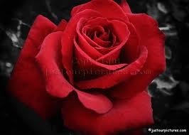 Obituary of Edith L Richie