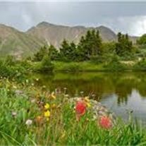 Obituary of Jerry Dale Wood