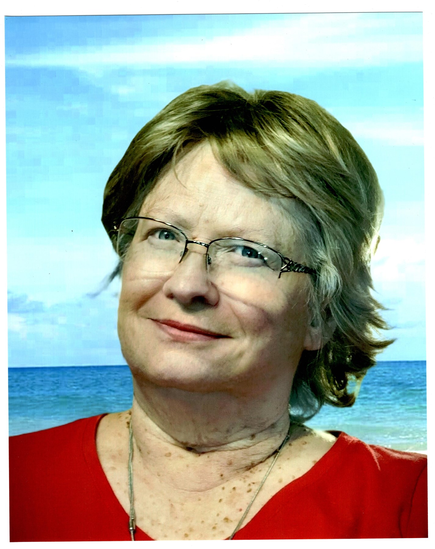 Obituary of Judy Ann (Holshouser) Correll