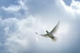 Obituary of William Malanga