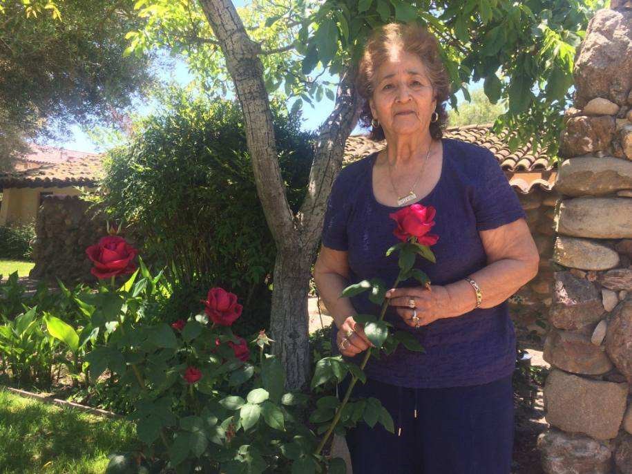 Obituary of Griselda B. Mora