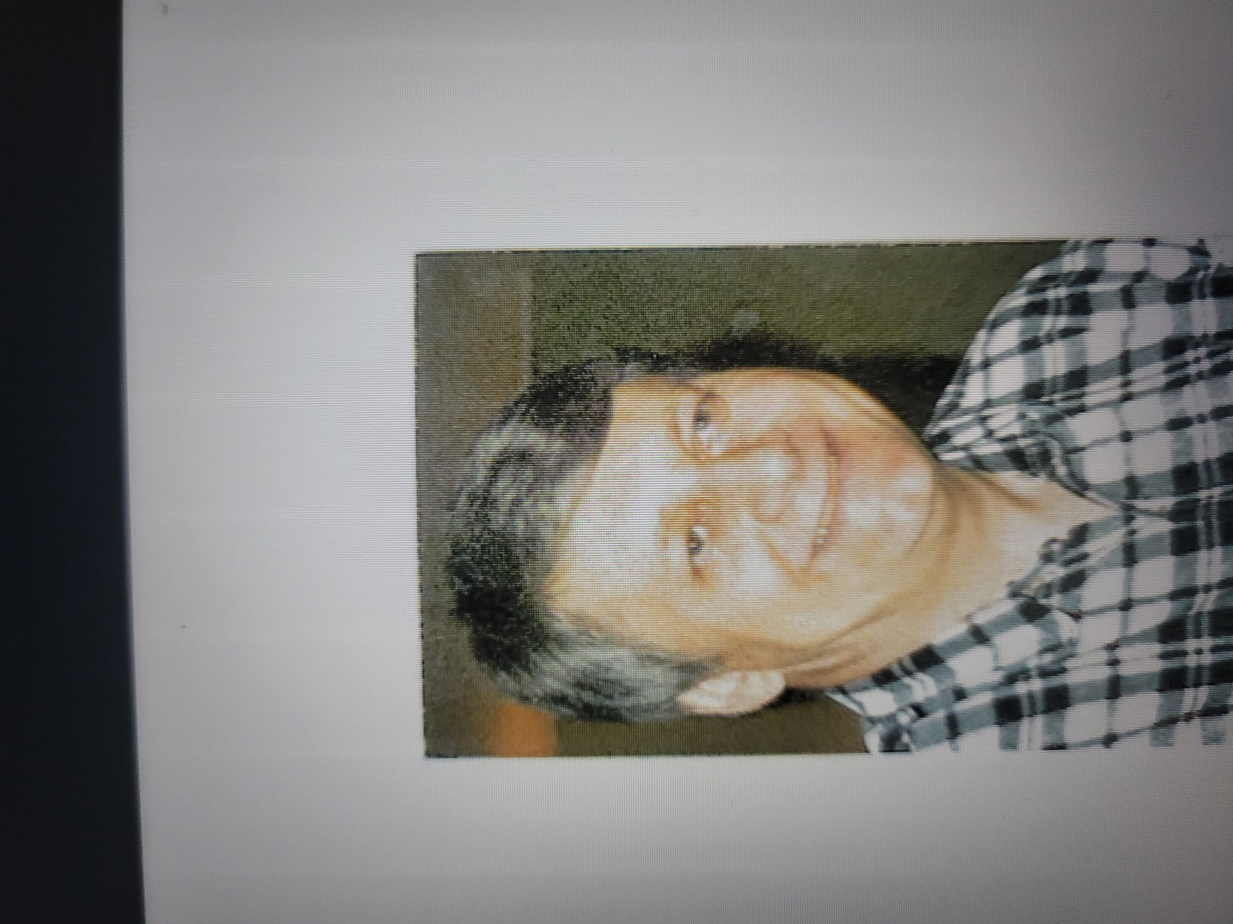 Obituary of Larry Thomas Bruno