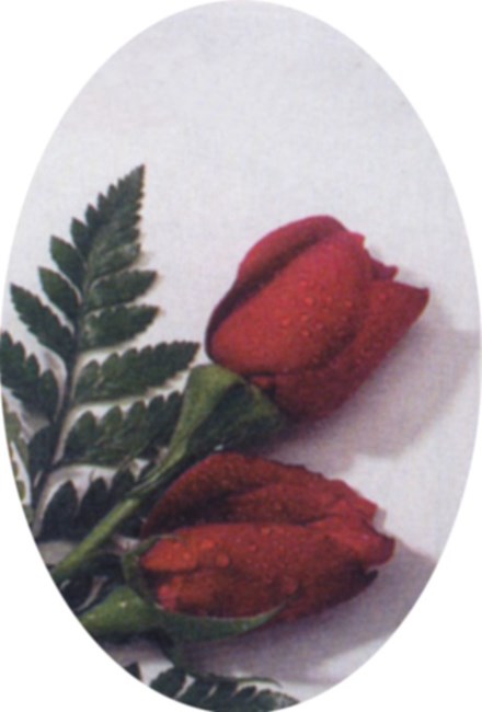 Obituary of Beverly M. Christian