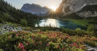 Obituary of Robert Raul Torres