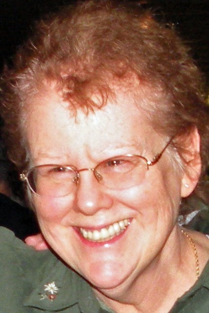 Obituary of Leslie Ann Costin