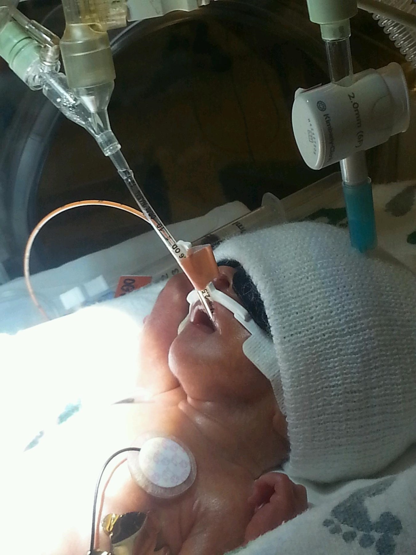 Obituary of Weston Colt Johnson