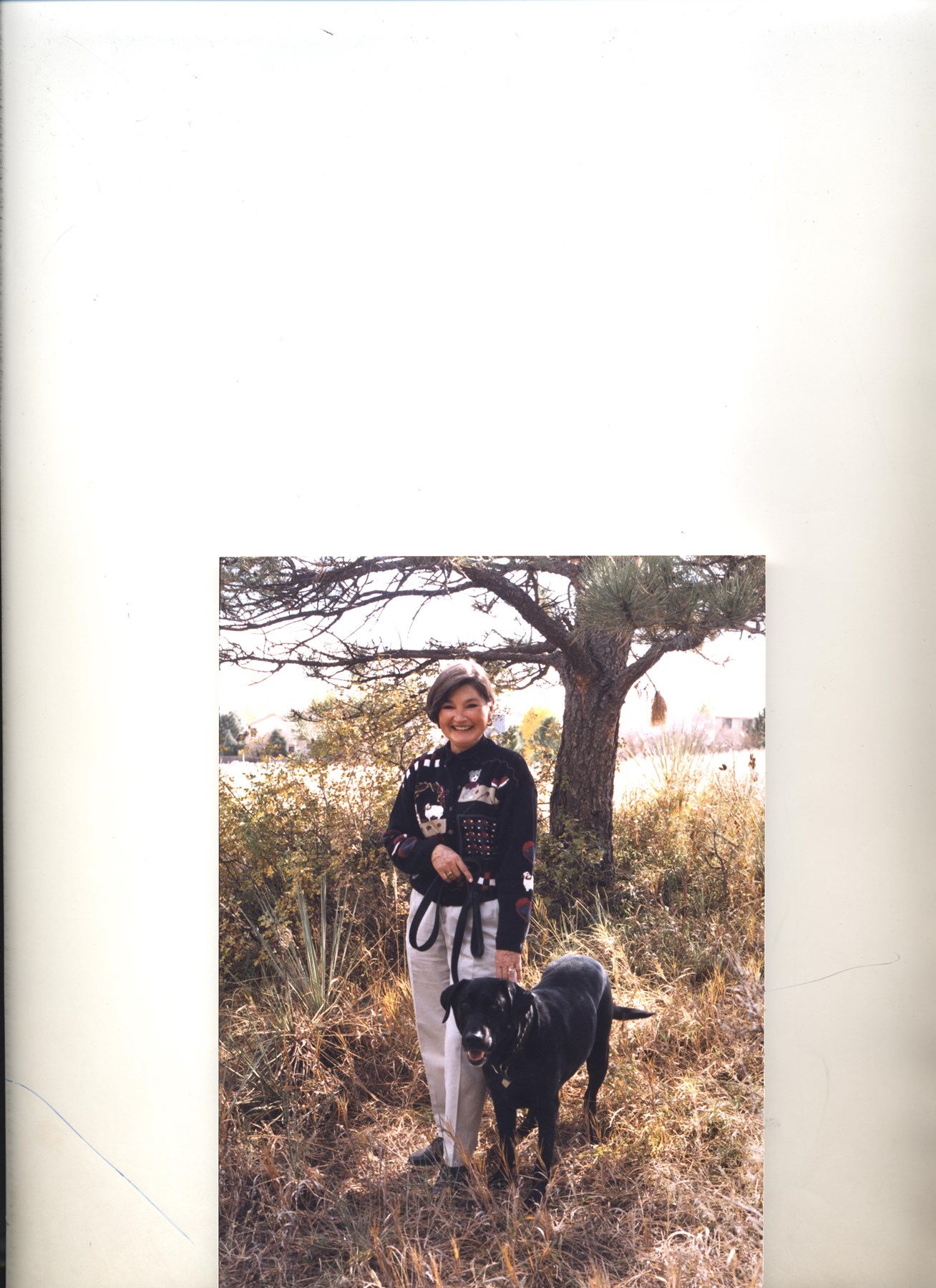 Obituary of Alma Lynn Dollar