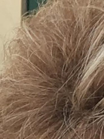 Aggie Collins Obituary Kissimmee, FL