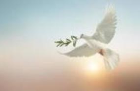 Obituary of Martha C Ruiz