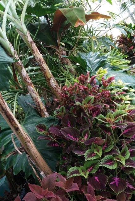 Obituary of George Washington Fernandez