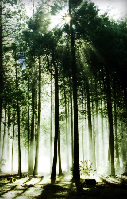 Avis de décès de Elie Vincent Merritt